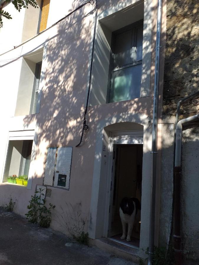Apartamento La Maison D Annick Lodève Exterior foto